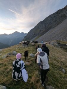 Moment aus einem Retreat der Akademie für Lebendigkeit